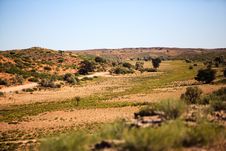 Dry Desert Landscape Royalty Free Stock Photo