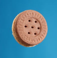 The Cookie. Stock Image The Cookie. Stock Image