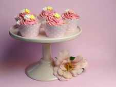 Beautiful Pink Decorated Cupcakes On Pink Cake Stand - With Pink Flower Stock Photography Beautiful Pink Decorated Cupcakes On Pink Cake Stand - With Pink Flower Stock Photography