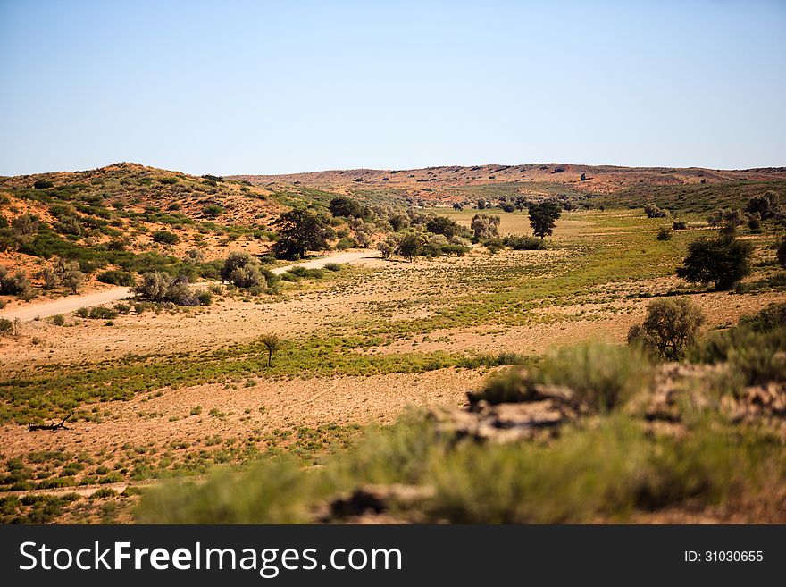 Dry Desert Landscape