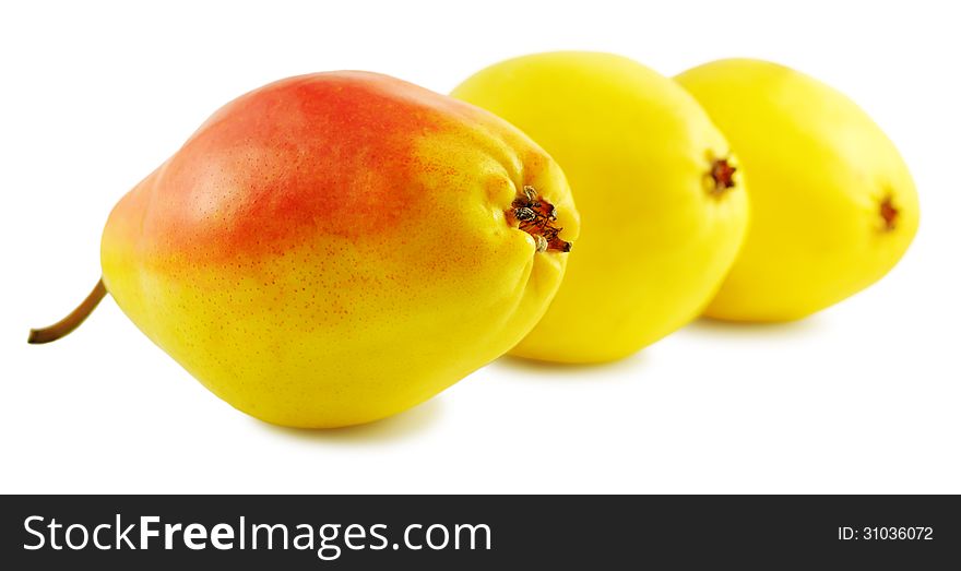 Three sweet pears in a row isolated on a white background