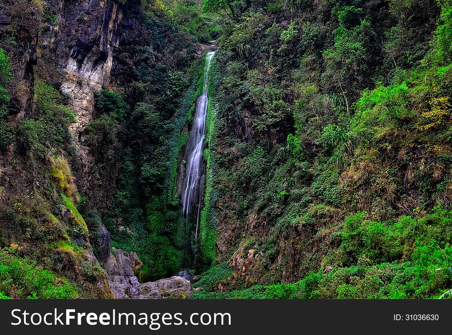 Deep forest waterfall landscape view