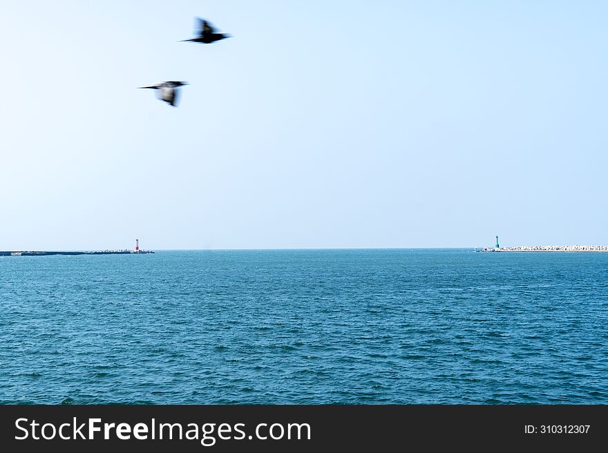 Landscape Of Breakwaters In Sizihwan And Cijin District Of Kaohsiung With Two Birds Flying In The Foreground, Extreme Long Shot