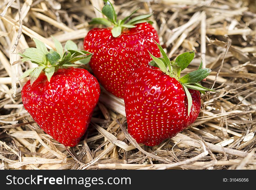 Three fresh, red, ripe strawberries.