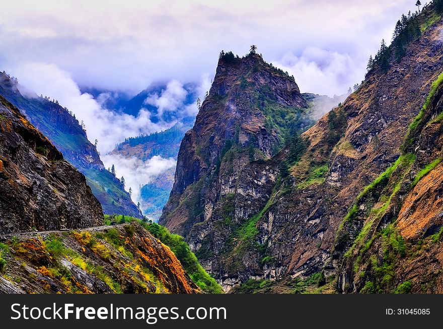 Wild Mountain Valley During Misty Day