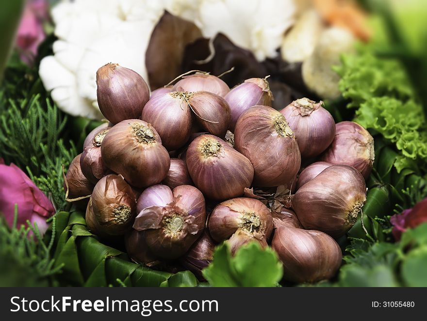 Garlic in the annual exhibition of agricultural farmers