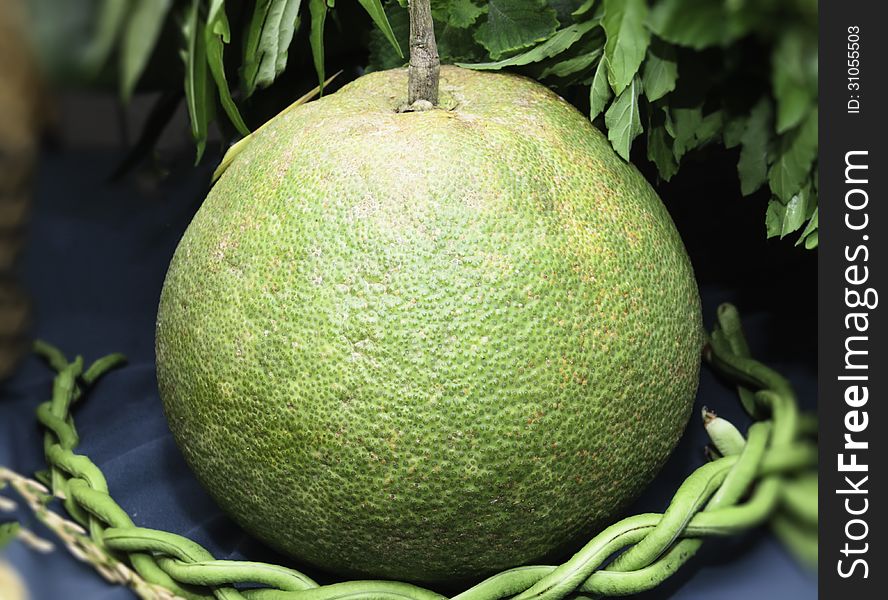 Pomelo in the annual exhibition of agricultural farmers