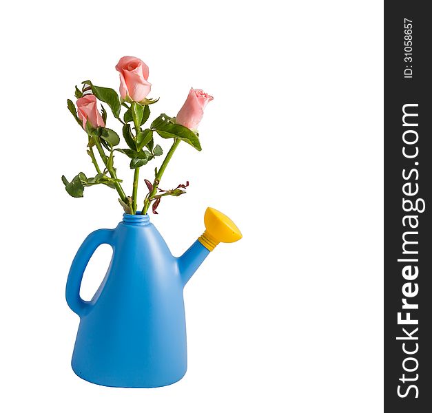 Flowers in blue watering can. Flowers in blue watering can.