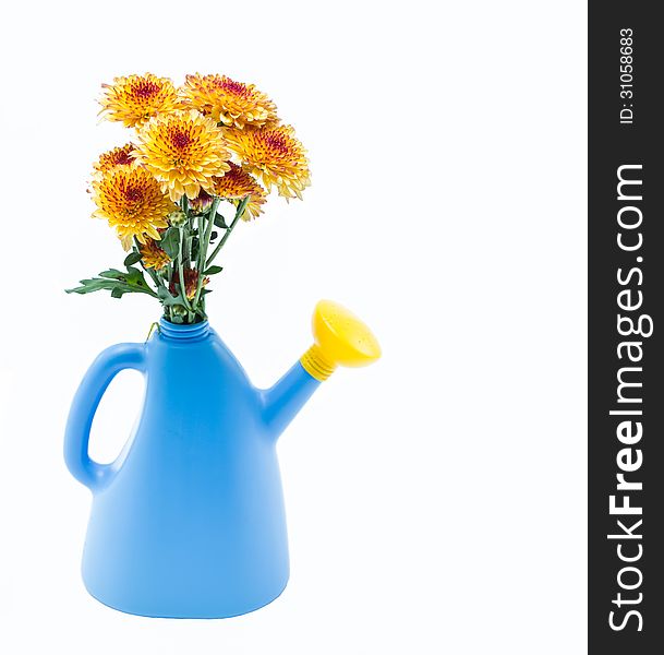 Flowers in blue watering can. Flowers in blue watering can.