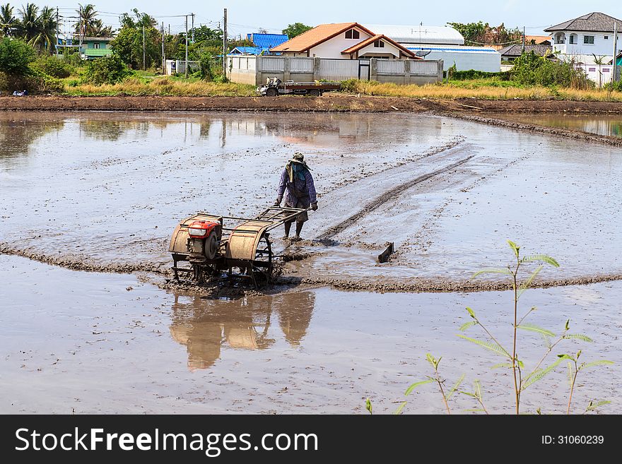 Process Of Thai Farmer Working With A Handheld Motor Plow In A Rice Field.