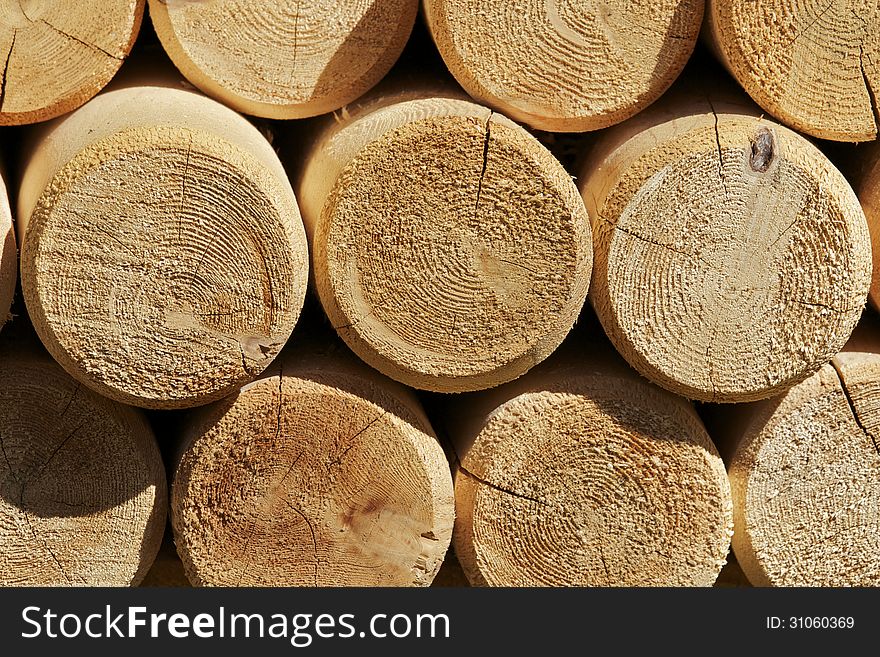 Ends of logs cut and ready for use. Ends of logs cut and ready for use