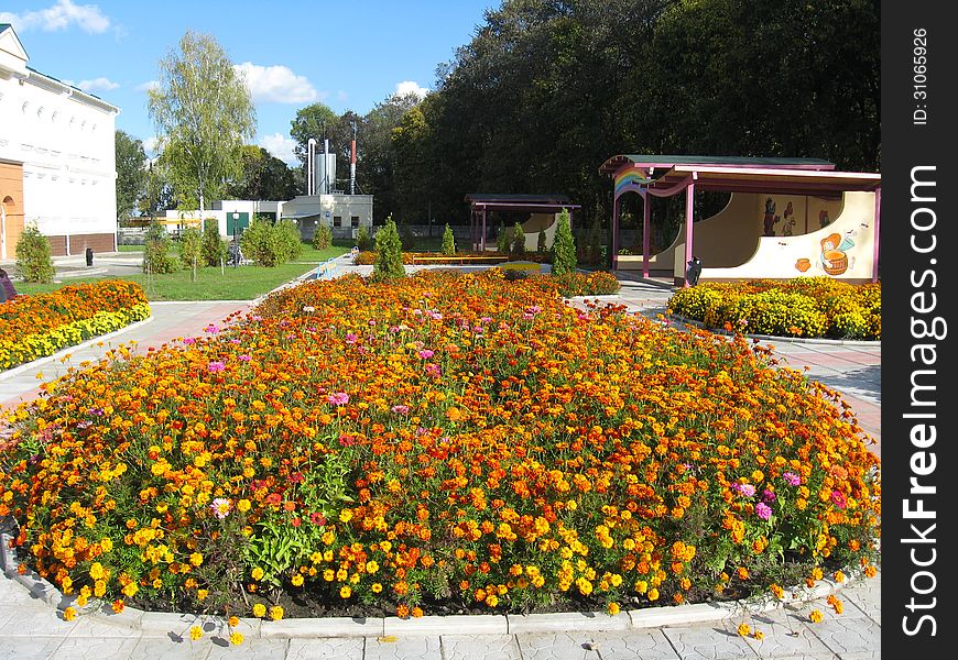 Flower Bed With Beautiful Flower Of Tagetes