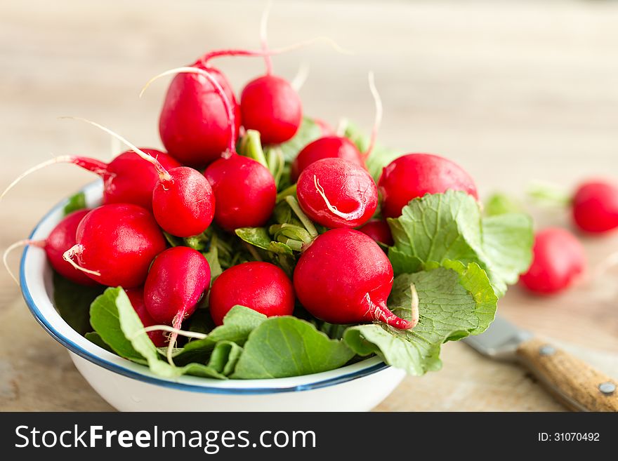 Bunch of fresh radishes in a bowl with copy space