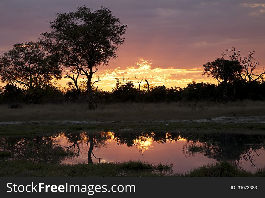 Bushes and trees that surround a natural waterhole are reflected against a mauve, pink and golden sunset sky with clouds on natures reservoir. Bushes and trees that surround a natural waterhole are reflected against a mauve, pink and golden sunset sky with clouds on natures reservoir.