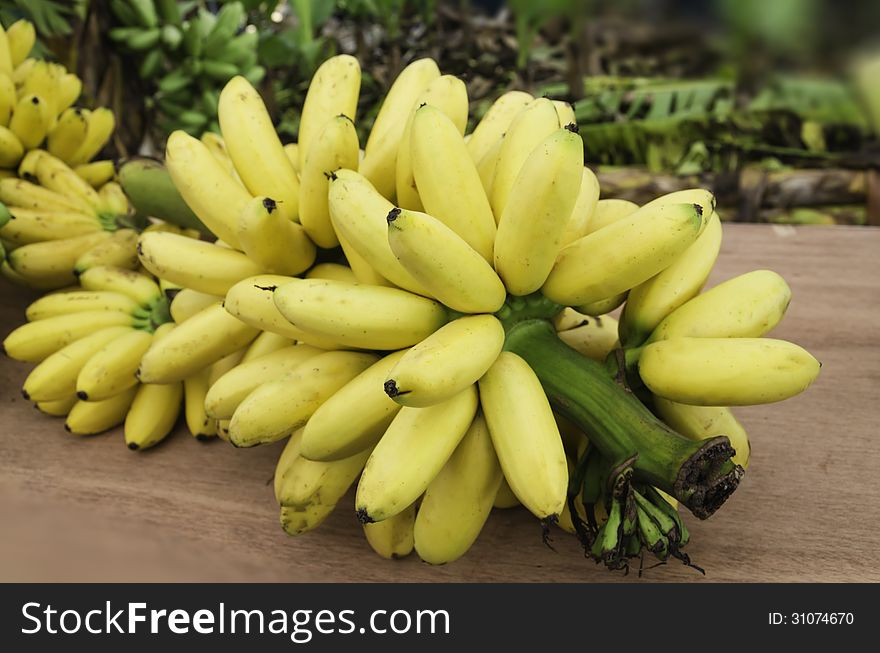 Bunch of bananas in the exhibition of agricultural farmers annual