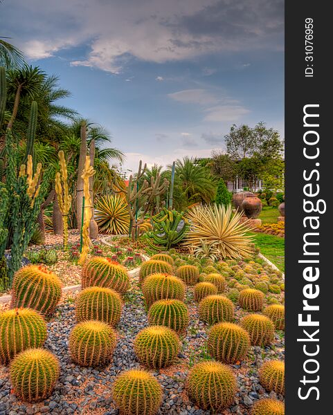 Exotic botanical garden in the North of Thailand