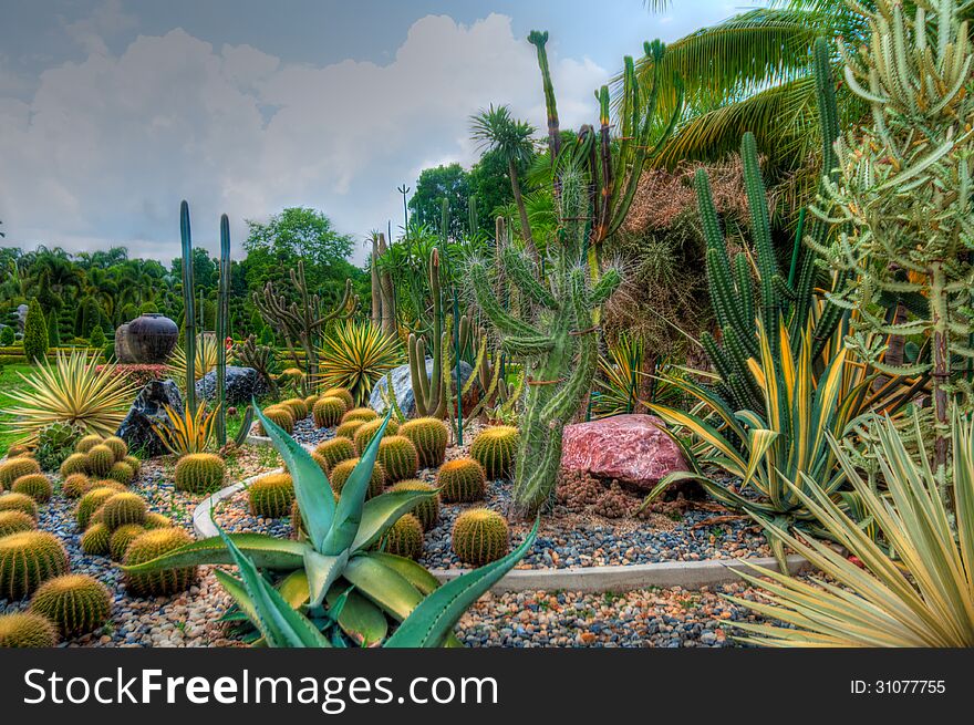 Exotic botanical garden in the North of Thailand