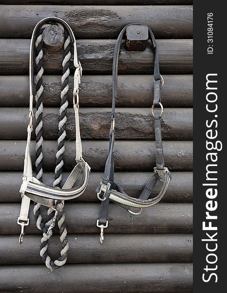 Details of diversity used horse reins