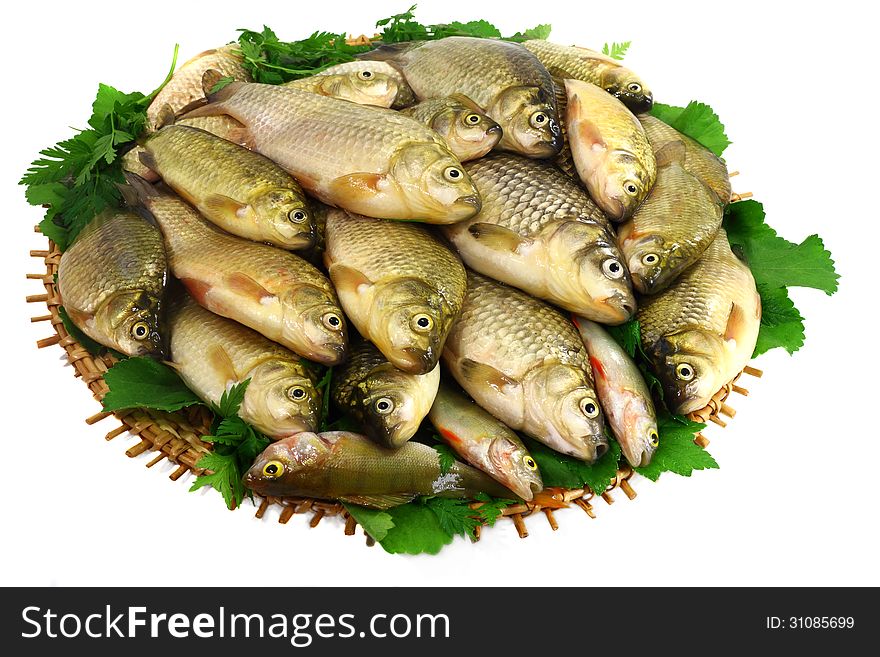 The Svezhany, not cleared river fish (crucians) on a round dish with greens. Are presented on a white background. The Svezhany, not cleared river fish (crucians) on a round dish with greens. Are presented on a white background