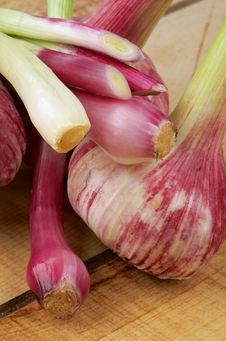 Garlic And Onion Royalty Free Stock Image Garlic And Onion Royalty Free Stock Image
