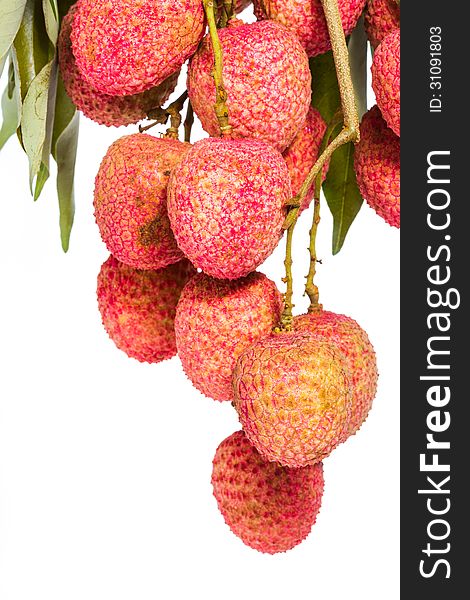 Isolated Fresh Lychees Fruit