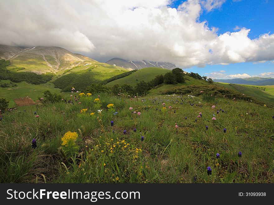 Spring landscape with flowers in the italian appennino.