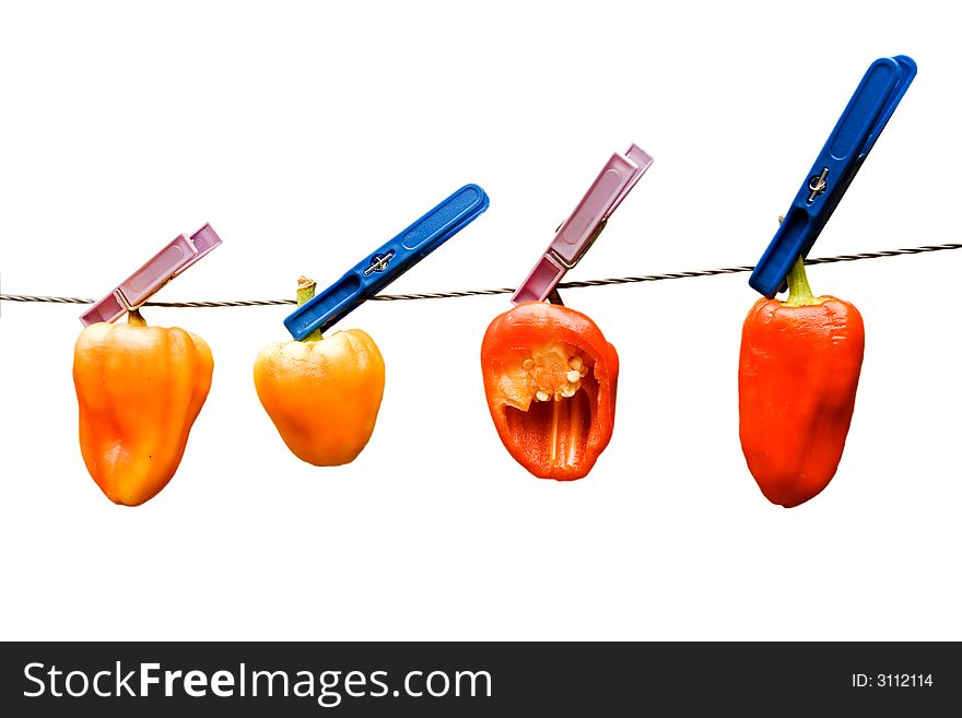 Peppers on wire over white background.