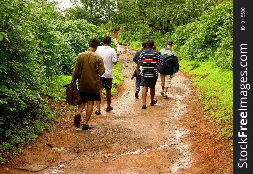 A group of trekkers entering a dense forest. A group of trekkers entering a dense forest.