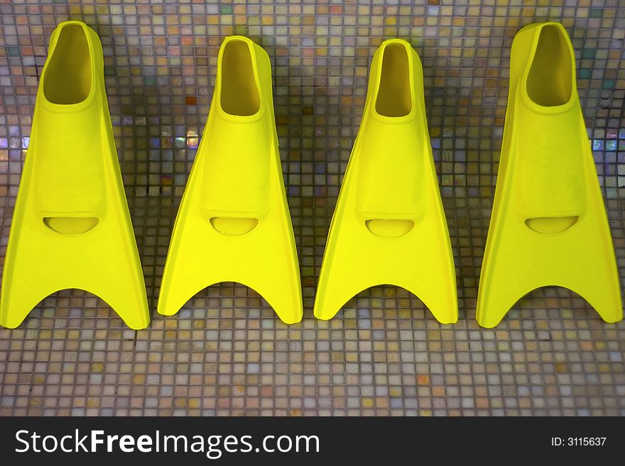 Four yellow fins expecting swimmers. Four yellow fins expecting swimmers