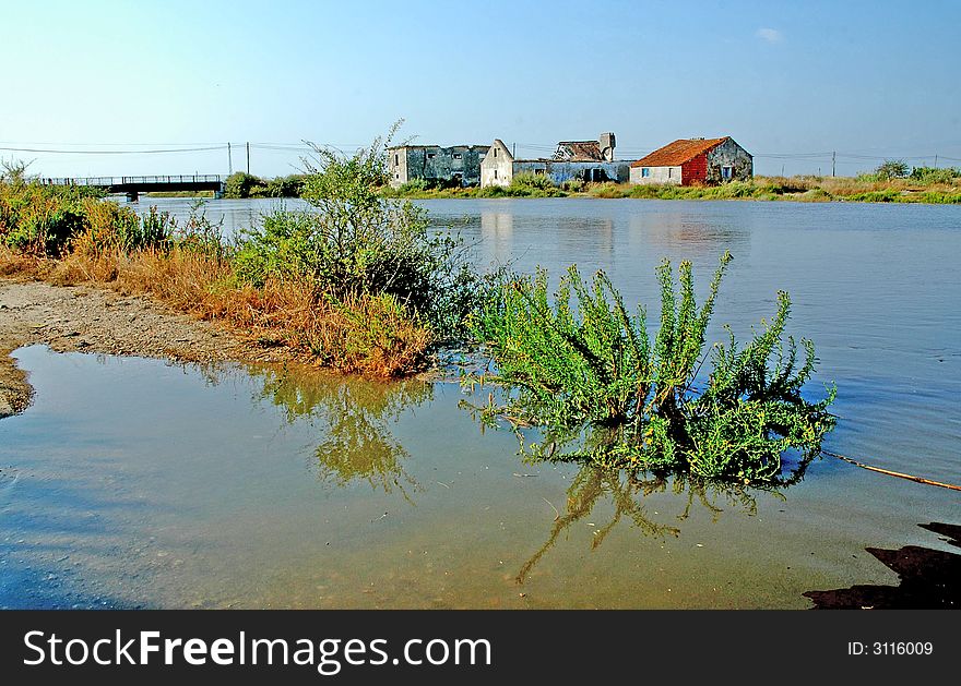 Waters are coming at the Tagus River Estuary. Site is called Ribeira das Enguias. Waters are coming at the Tagus River Estuary. Site is called Ribeira das Enguias.