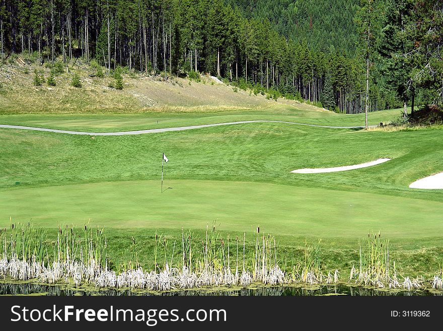 Golf green on a mountain golf course in Panorama,British Columbia