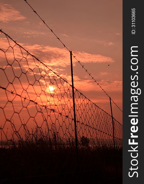 Fence, barbed wire against the rising sun. Fence, barbed wire against the rising sun.
