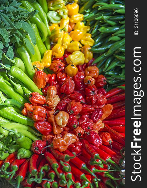 A wide selection of chili peppers in the market