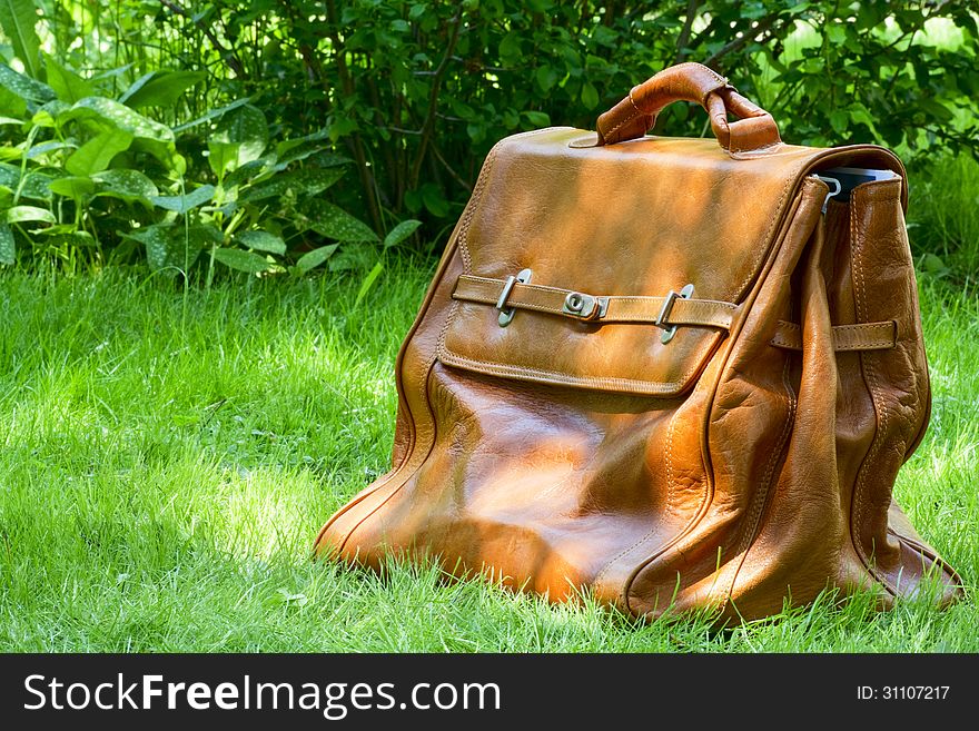 Sunlit leather carpetbag on a background of green grass