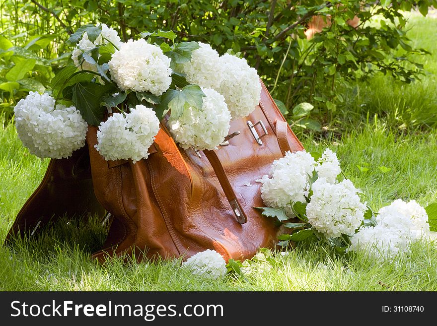 Leather carpetbag full of white flowers on a background of green grass