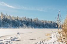 Dvina Rver Under Ice. Landscape Near House Of Painter Repin. Stock Images Dvina Rver Under Ice. Landscape Near House Of Painter Repin. Stock Images