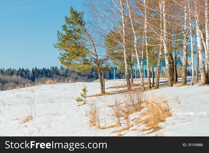 On the bank of the frozen lake.