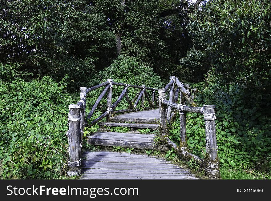 Wood bridge for people to walk into the forest