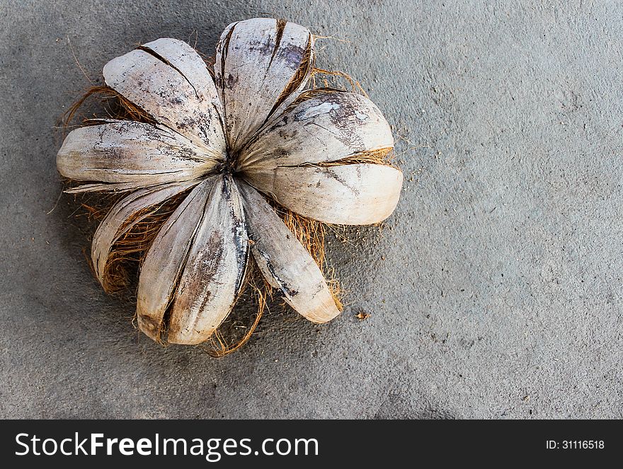 Coconut shell with a cement floor in the background