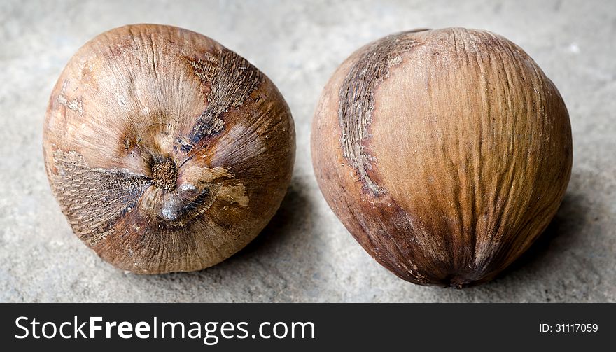 Dry coconut with concrete floor. Dry coconut with concrete floor