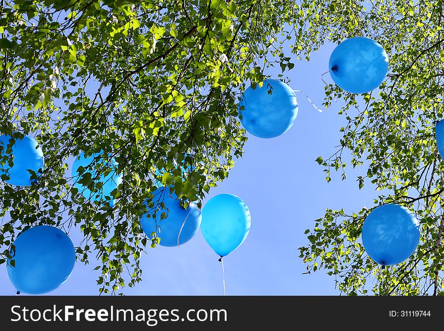 Balloons flying away into the blue sky