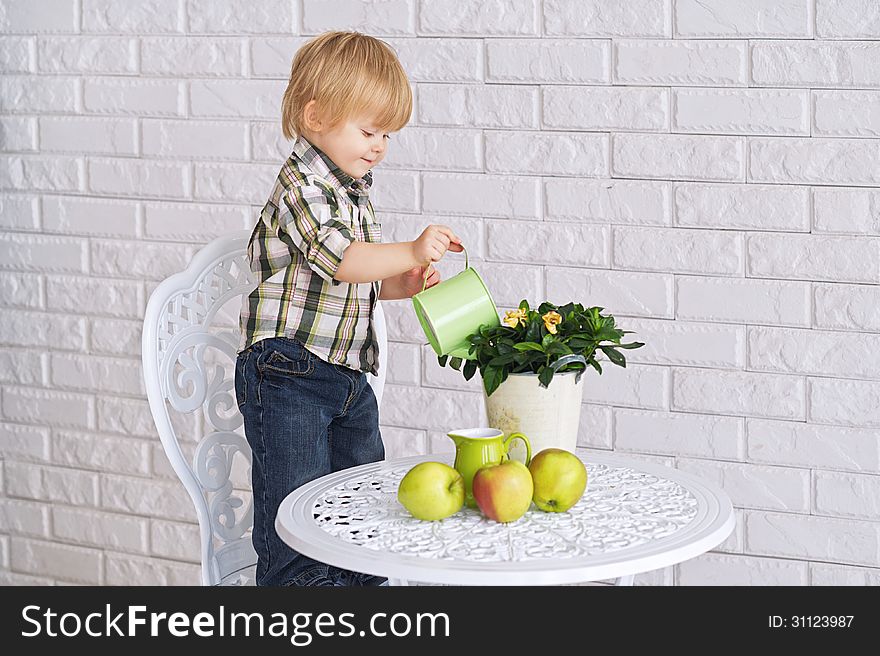 Little boy standing on the chair and watering home plant in the pot. Little boy standing on the chair and watering home plant in the pot