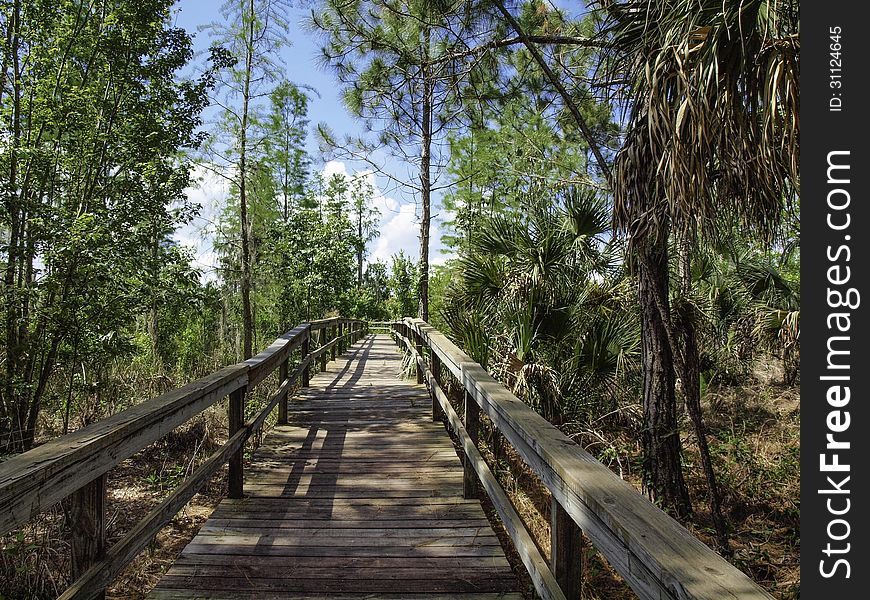 Nature trail walkway in Eustis Florida.