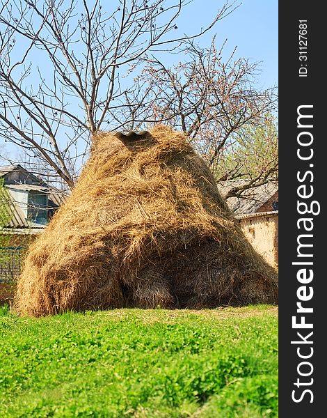 Dry haystack against the backdrop of rural buildings