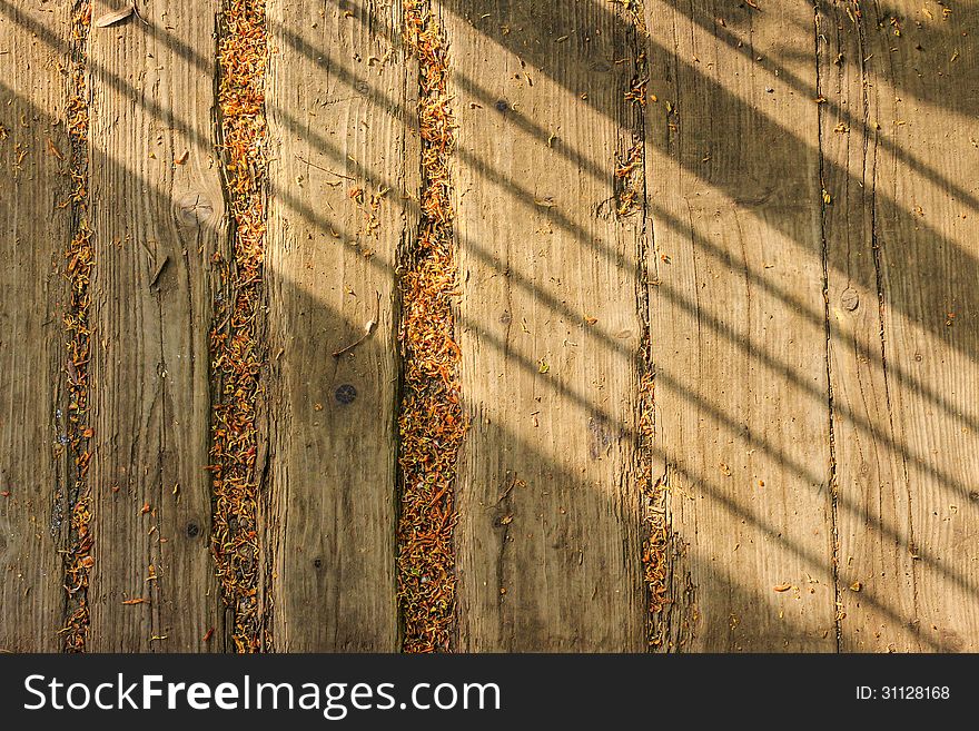 Old weathered boards with fine foliage and oblique shadow. Old weathered boards with fine foliage and oblique shadow