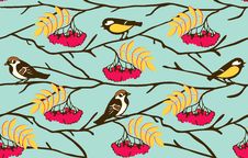 Birds On The Rowan Branch Seamless Stock Photography