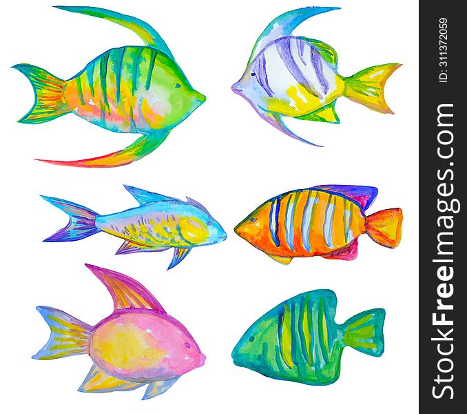 set of isolated fishes drawn by hands in watercolor. Hand drawn by the artist