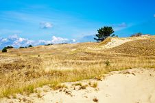 At The Curonian Spit Royalty Free Stock Photography At The Curonian Spit Royalty Free Stock Photography