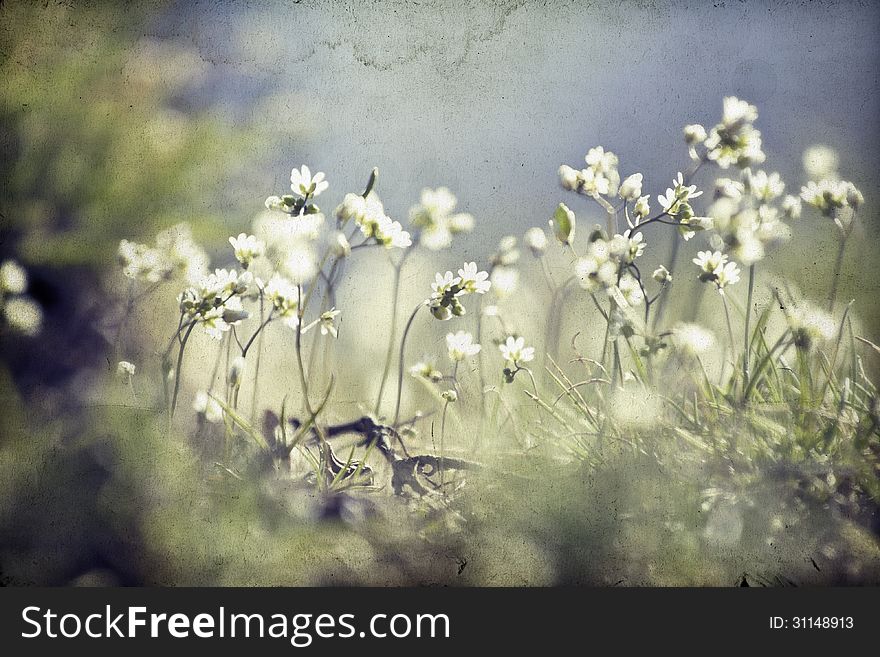 Abstract floral background with soft focus and old paper texture. Abstract floral background with soft focus and old paper texture