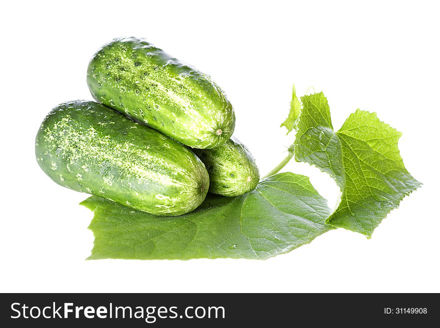 Cucumbers on white background with green leaf and. Isolated over white.